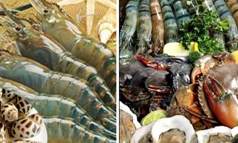 Bí quyết vàng giúp các bà nội trợ chọn thực phẩm tươi ngon, đảm bảo an toàn